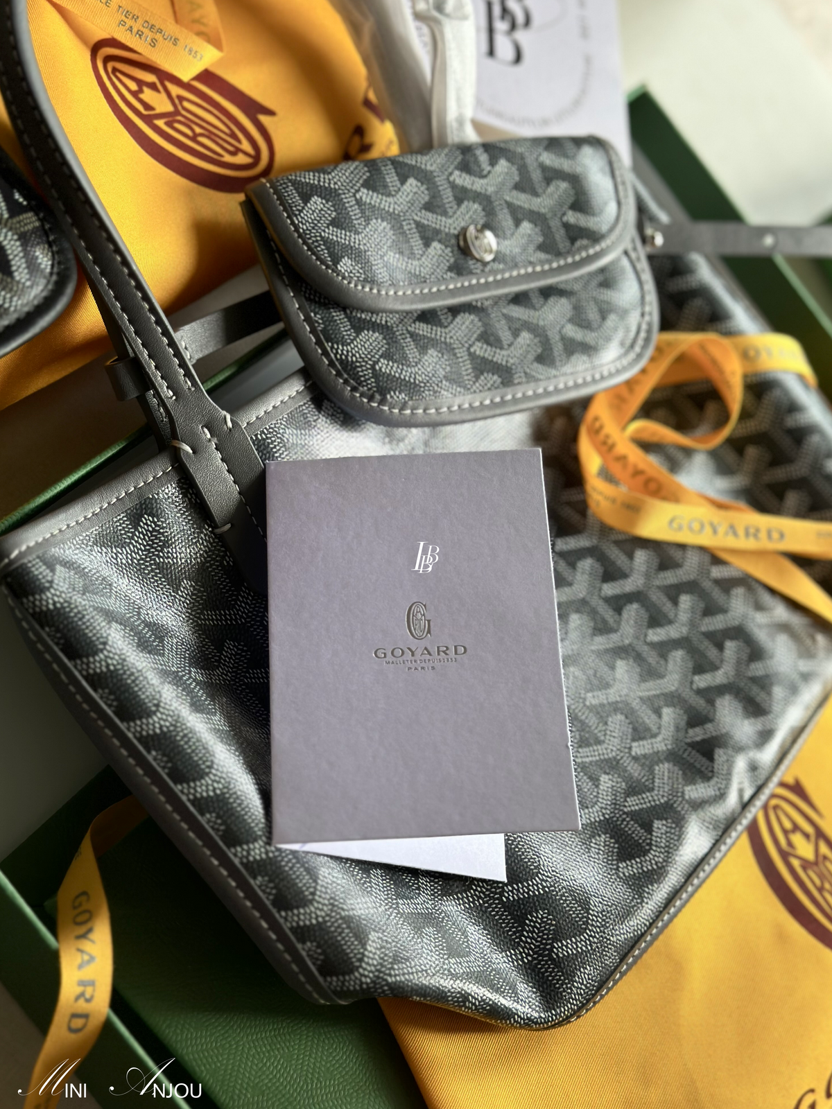 GY Mini Anjou